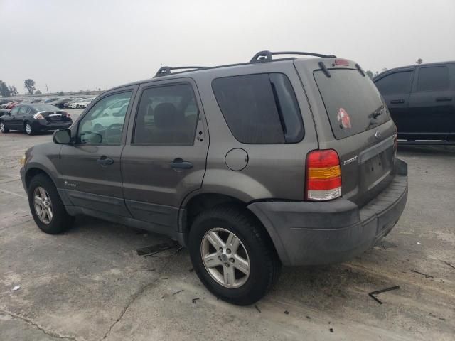 2006 Ford Escape HEV