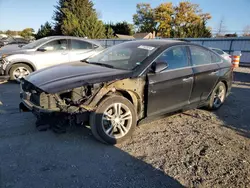 2019 Hyundai Sonata Limited en venta en Finksburg, MD