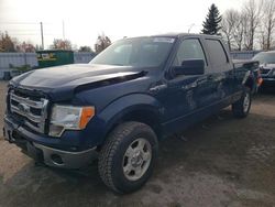 Salvage cars for sale from Copart Bowmanville, ON: 2014 Ford F150 Supercrew