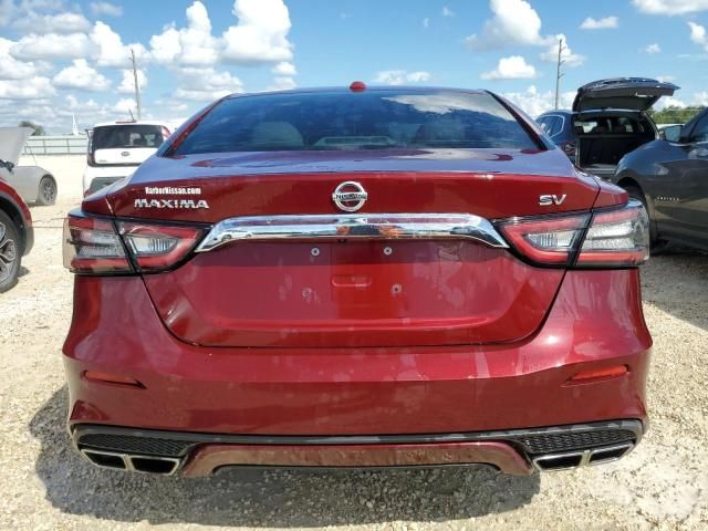 2019 Nissan Maxima S