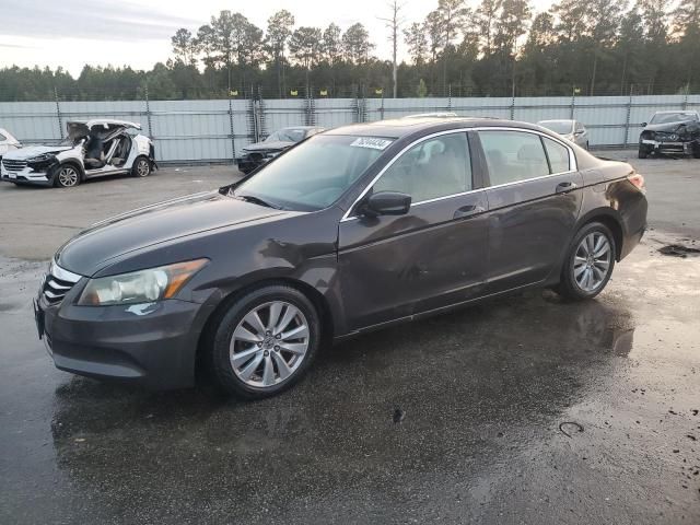 2011 Honda Accord EXL