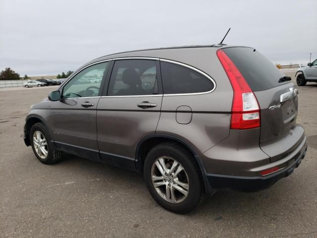 2010 Honda CR-V EXL