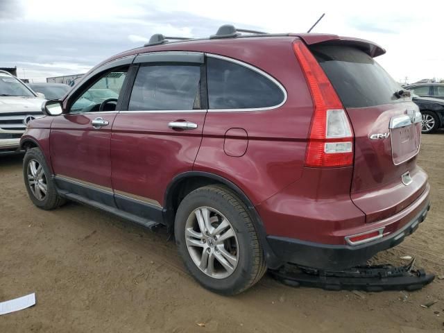 2010 Honda CR-V EXL