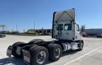 2019 Freightliner Cascadia 116