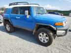 2007 Toyota FJ Cruiser