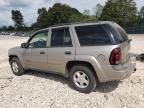 2002 Chevrolet Trailblazer