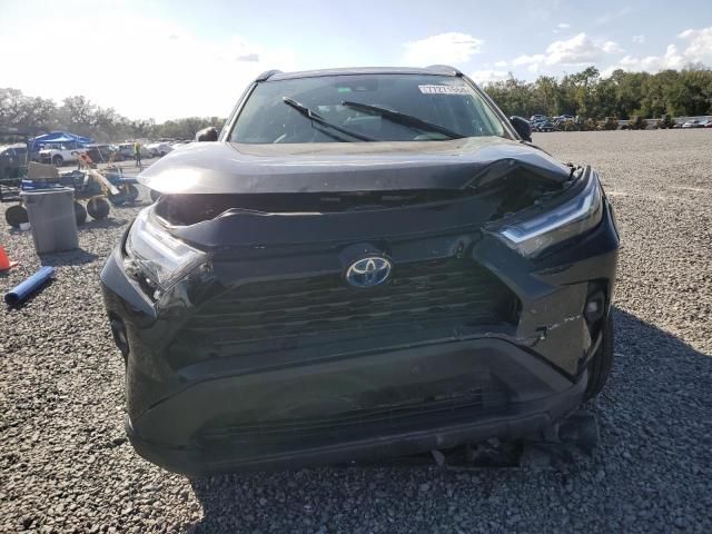 2023 Toyota Rav4 XLE Premium