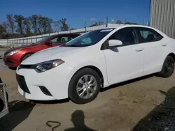 Toyota Vehiculos salvage en venta: 2014 Toyota Corolla L