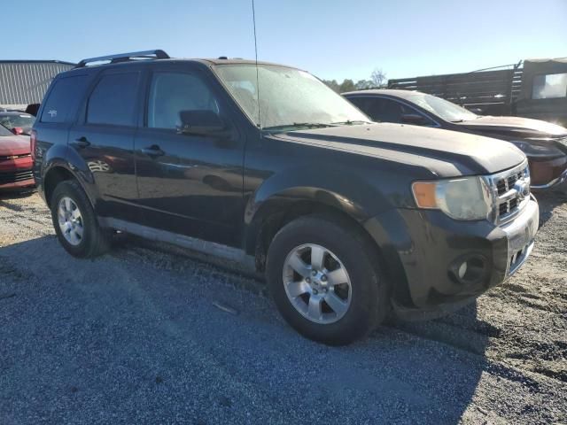 2010 Ford Escape Limited