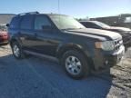 2010 Ford Escape Limited