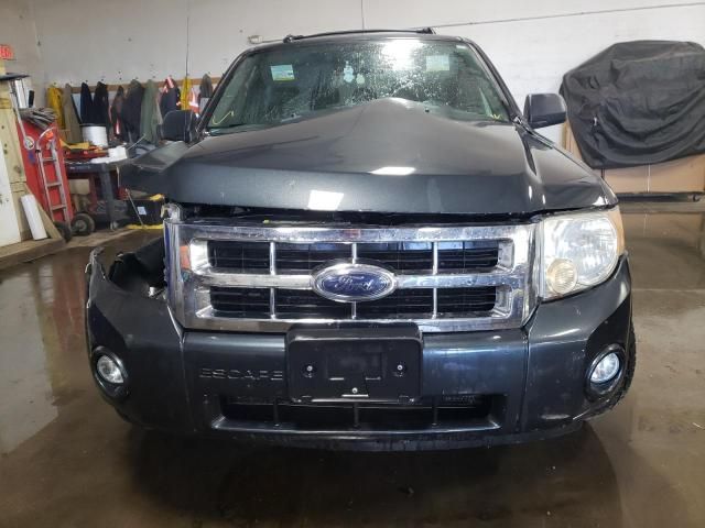 2008 Ford Escape XLT