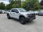 2019 Ford F150 Raptor