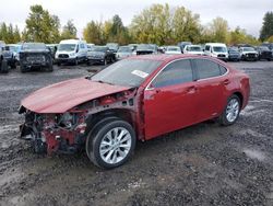 Lexus Vehiculos salvage en venta: 2013 Lexus ES 300H