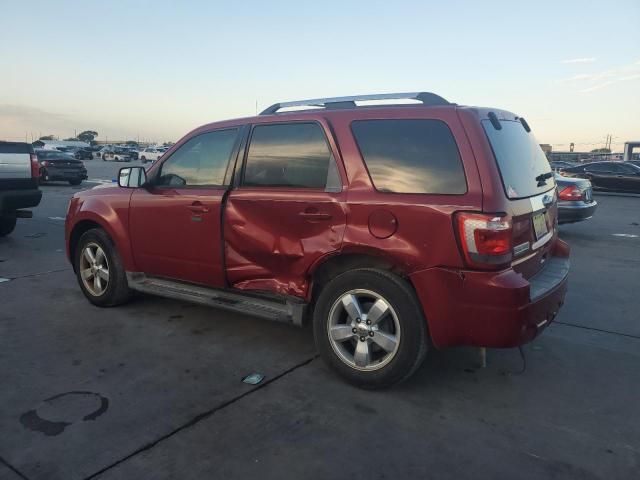 2011 Ford Escape Limited