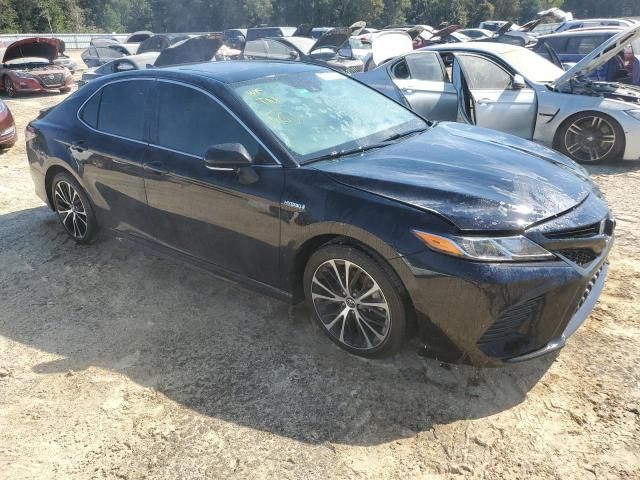 2019 Toyota Camry Hybrid