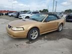 2000 Ford Mustang GT