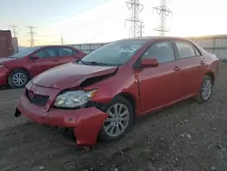 Salvage cars for sale at Elgin, IL auction: 2009 Toyota Corolla Base