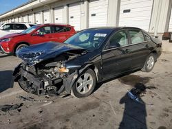 Salvage cars for sale at Louisville, KY auction: 2008 Chevrolet Impala LT