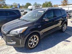 Salvage cars for sale at Walton, KY auction: 2013 Ford Escape Titanium