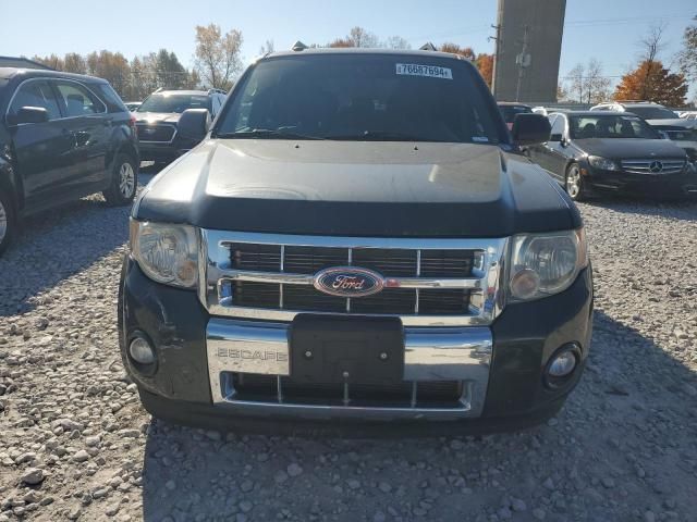 2009 Ford Escape XLT