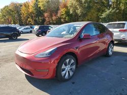 Salvage cars for sale at Glassboro, NJ auction: 2024 Tesla Model Y