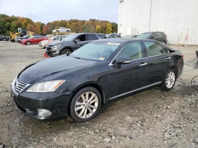 2011 Lexus ES 350