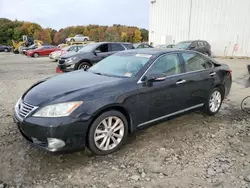 Flood-damaged cars for sale at auction: 2011 Lexus ES 350