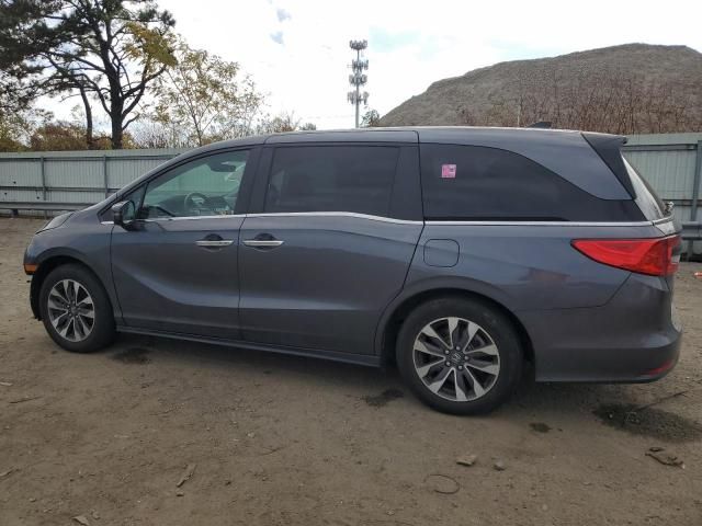 2023 Honda Odyssey EXL