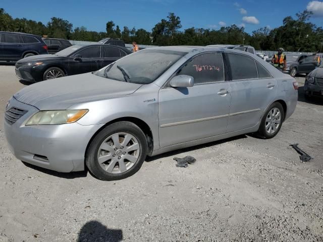 2009 Toyota Camry Hybrid