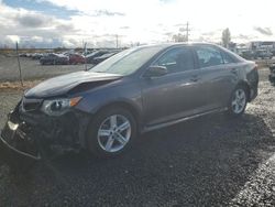 Salvage cars for sale at Eugene, OR auction: 2014 Toyota Camry L