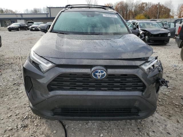 2024 Toyota Rav4 XLE