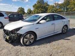 Salvage cars for sale at Baltimore, MD auction: 2013 Hyundai Sonata Hybrid