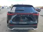 2022 Lexus NX 350