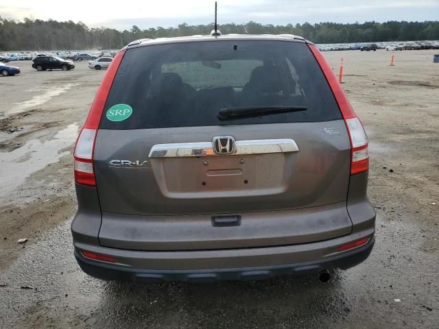 2010 Honda CR-V EXL