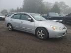 2003 Honda Accord EX