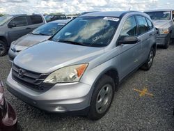 Salvage cars for sale at Riverview, FL auction: 2010 Honda CR-V LX