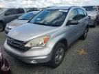 2010 Honda CR-V LX