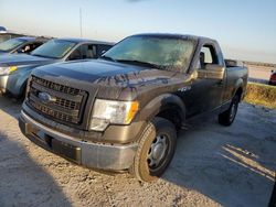 Salvage cars for sale at Riverview, FL auction: 2013 Ford F150