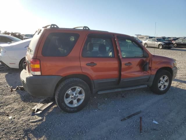 2006 Ford Escape XLT