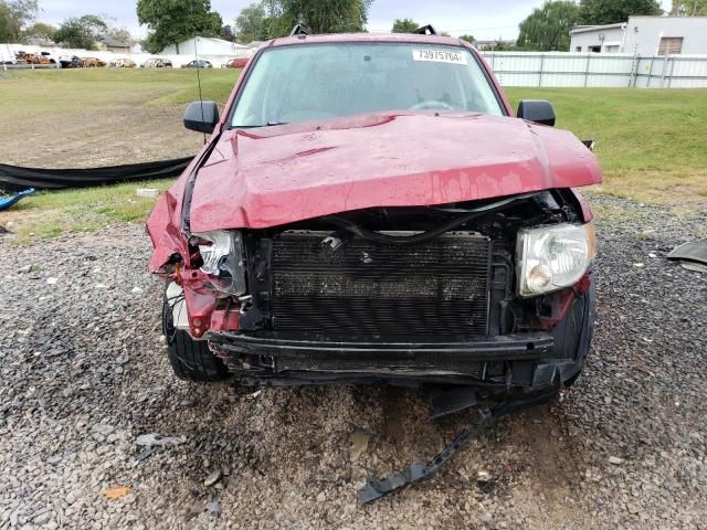 2008 Ford Escape XLT