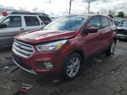 Salvage cars for sale at Chicago Heights, IL auction: 2019 Ford Escape SE