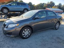 Toyota salvage cars for sale: 2010 Toyota Corolla Base