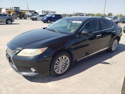 Salvage cars for sale at Grand Prairie, TX auction: 2013 Lexus ES 350