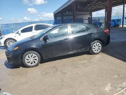 Salvage cars for sale from Copart Riverview, FL: 2019 Toyota Corolla L