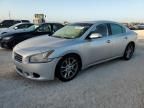 2010 Nissan Maxima S