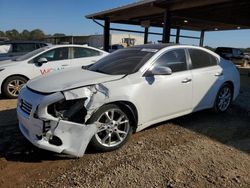 Nissan salvage cars for sale: 2012 Nissan Maxima S