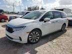 2022 Honda Odyssey EXL