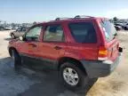 2004 Ford Escape XLT