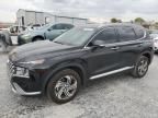 2023 Hyundai Santa FE SEL Premium