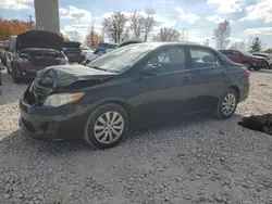 2013 Toyota Corolla Base en venta en Wayland, MI